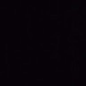 Meet your Posher, Emilie